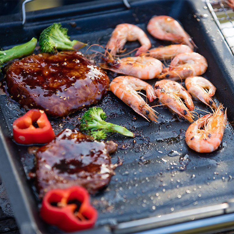 야외용 두꺼운 사각 그릴 팬, 손잡이 두 개, 휴대용  - Camping Cooking Survival 리뷰 및 가격